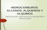 Los Hidrocarburos (Alcanos, Alquenos y Alquinos) Propiedades, Reacciones y Metodos de Obtencion.ppt