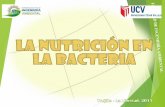 Exposiciones Bacterias 2.pdf