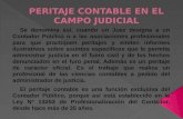 Peritaje Contable en El Campo Judicial Diapositiva