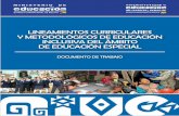 Lineamientos Curriculares y Metodolgicos de La Educacin Inclusiva Del Rea de La Educacin Espe