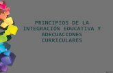 integracion educativa y adecuaciones curriculares