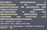 Respuesta neuroendocrina en TB