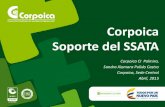 Estrategías de vinculación y transferencia Corpoica.pdf
