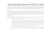 Shougan Hierro Peru S.a.a 2