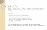 Presentacion BRIC S