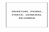 Resumen Integral Derecho Penal General Por Mery