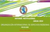 Informe Institucional Anual Oidi Perú-IRICAS.ORG 2014 v1.1