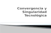 Singularidad y Convergencia