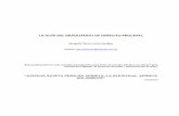 La Guía Del Graduando de Derecho Procesal- Larico, 101p