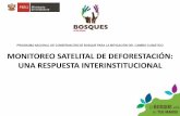 MONITOREO DE LA DEFORESTACION - PROGRAMA BOSQUES