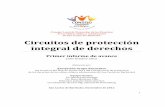 (Circuitos_de_protecciÃ³n_integral_-_Primer_informe_de_av ance)