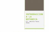 1.-Introduccion a La Botanica