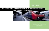 Informe de Plasticidad