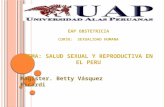 Salud sexual y reproductiva en el Perú