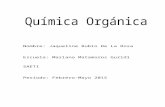 QUIMICA ORGANICA.docx