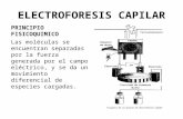 ELECTROFORESIS CAPILAR