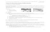 Tema 14 - Infecciones Oseas y Tejidos Blandos