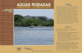 Libro Aguas Robadas Arroyo&BoelensEds 2013(JH3)