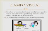Campo Visual