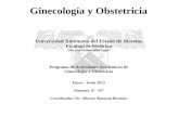 Manual Ginecologia UAEM 2015