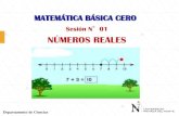 2a Ppt s1 Mb0 Neg-numeros Reales