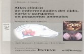 Atlas Clinico de Enfermedades Del Oido, Nariz y Garganta en