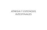 Atresia y Estenosis.