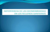 Presentacion10 GEOMEMBRANAS EN LOS RS.pdf