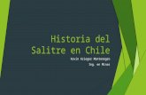 El Salitre en Chile Listo
