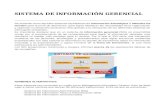 Sistema de Información Gerencial(Informe)
