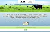 0981-Manual Manejo Pastizales - Kit AA-FVSA