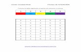 Bateria Estimulacion Cognitiva Sigue El Patrón de Números y Colores 4