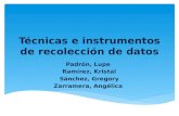 Técnicas e Instrumentos de Recolección de Datos