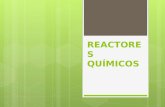 Reactores Batch Tubular y Mezcla