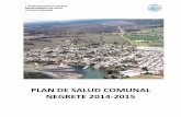 CESFAM Yanequen (2013) Plan Salud Comunal 2014-2015