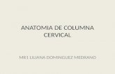 Anatomia de Columna Cervical