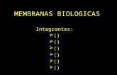 MEMBRANA BIOLOGICAS