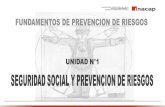 Unidad I Seguridad Social y Prevención de Riesgos.