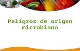 Peligros de Origen Microbiano