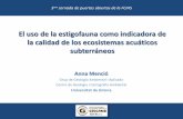"El uso de la estigofauna como indicadora de la calidad de los ecosistemas acuáticos subterráneos"
