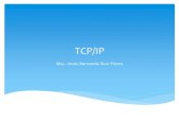 01 - TCPIP