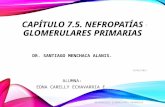 Nefropatias Glomerulares Primarias