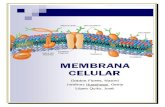 La Membrana Plasmática Completo