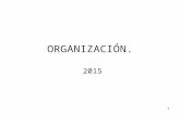 ORGANIZACION 2015 (1)
