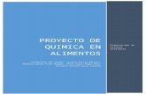 Proyecto Final Quimica