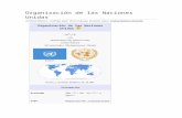 Organización de Las Naciones Unidas