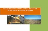 Zonas de Vida Del Bioma Estepa en El Peru1