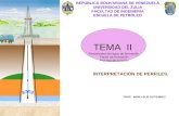 TEMA II Inter Perfiles