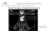 14 Sistema Endocrino