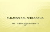 Fijación de nitrógeno